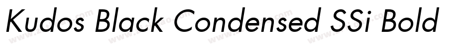Kudos Black Condensed SSi Bold Condensed Italic字体转换